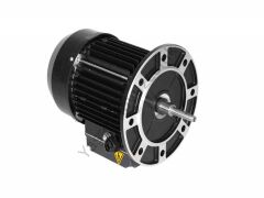 Gemaş Flooder 10 Hp Trifaze Kendinden Emişli Ticari Havuz Pompası